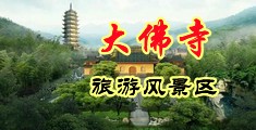 AV大鸡巴操操操中国浙江-新昌大佛寺旅游风景区
